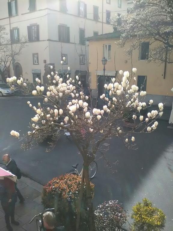 Suite Sofia Lukka Zewnętrze zdjęcie